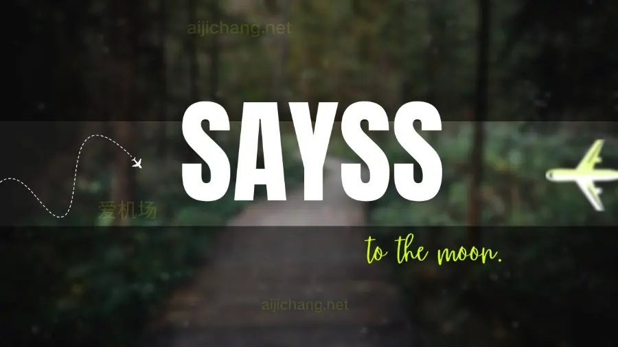 SaySS 机场怎么样?原 Qcrane 机场 | 低调小众专线 | BGP 入口-爱机场