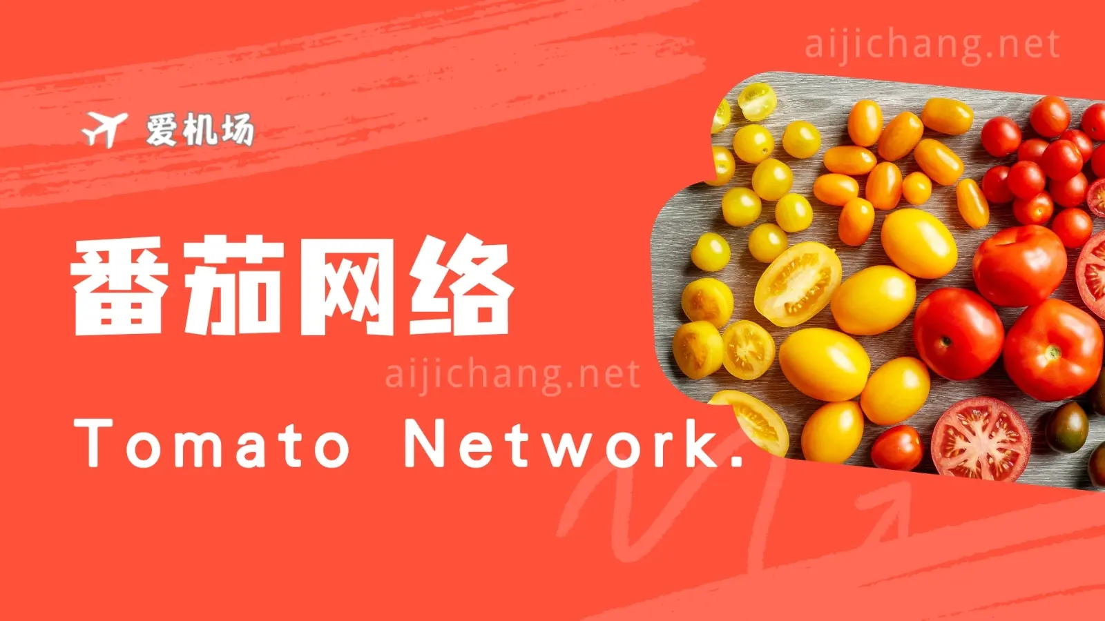番茄网络怎么样？Tomato Network | BGP 入口专线机场-爱机场